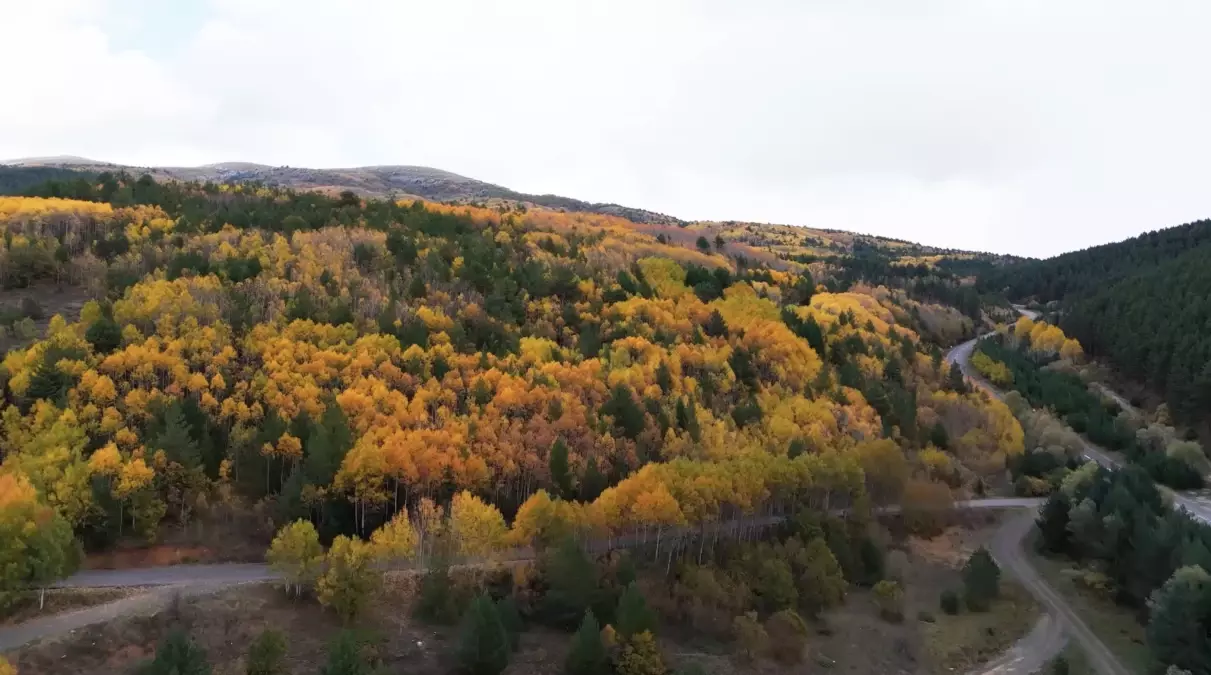Erzincan’da Sonbahar Renk Cümbüşü