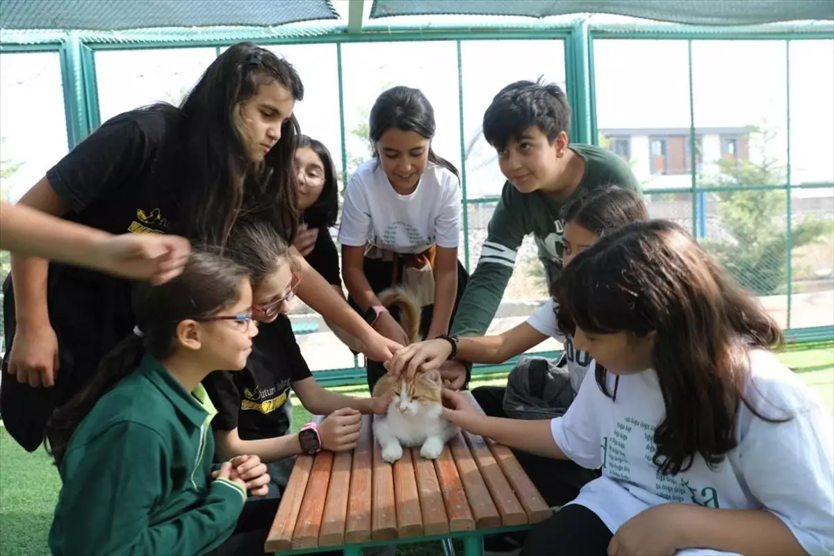 Kedi Kasabası’na Ziyaretler Devam Ediyor