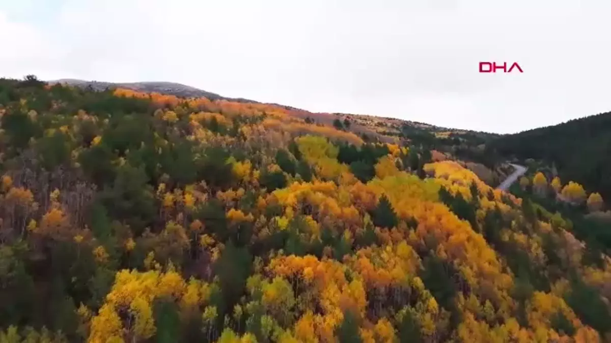 Sonbahar Güzelliği Erzincan’da
