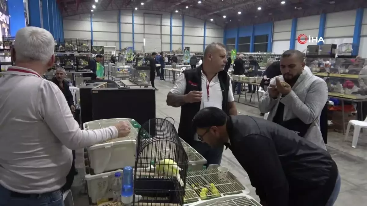 Mersin’de 14. Atatürk Kupası Kafes Kuşları Yarışması Düzenlendi