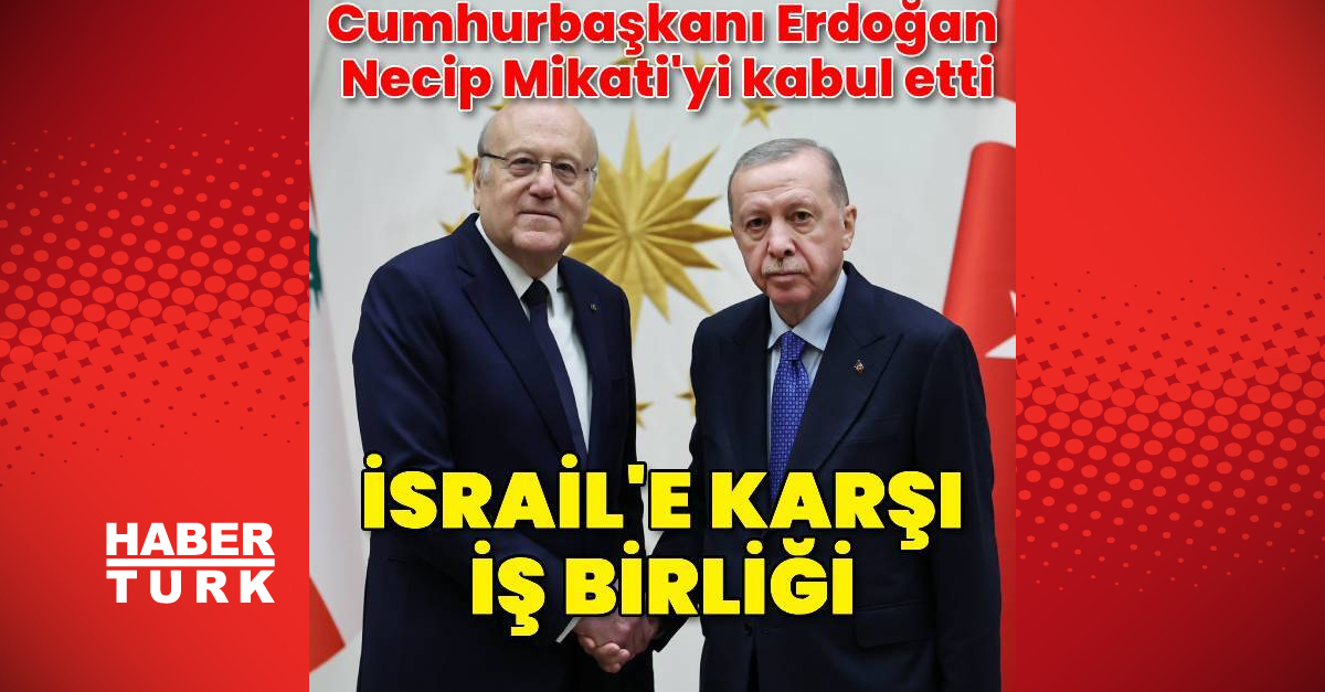Cumhurbaşkanı Erdoğan, Lübnan Başbakanı Necip Mikati ile basın toplantısı düzenledi
